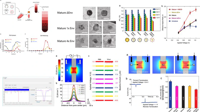 Mechanical Characterization of HIV-1 with a Solid-State Nanopore Sensor