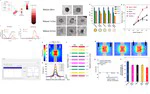 Mechanical Characterization of HIV-1 with a Solid-State Nanopore Sensor