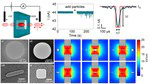 PhD Thesis: Electrodeformation in Solid-State Nanopores and its Application for Characterization of Nanoscale Vesicles and Viruses